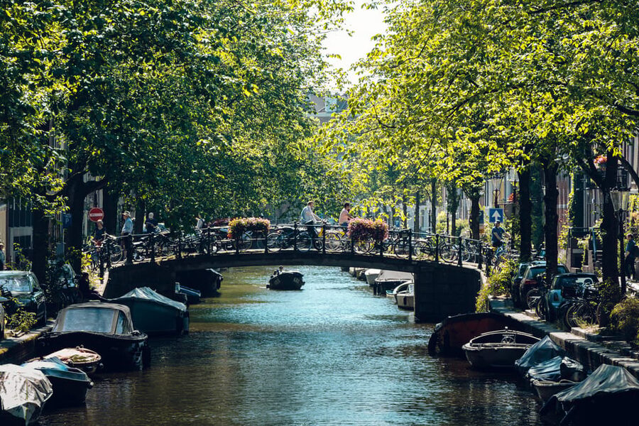 Amsterdam: Relaxed City Highlights Guided Bike Tour - Price and value: what $34 buys you in 2 hours