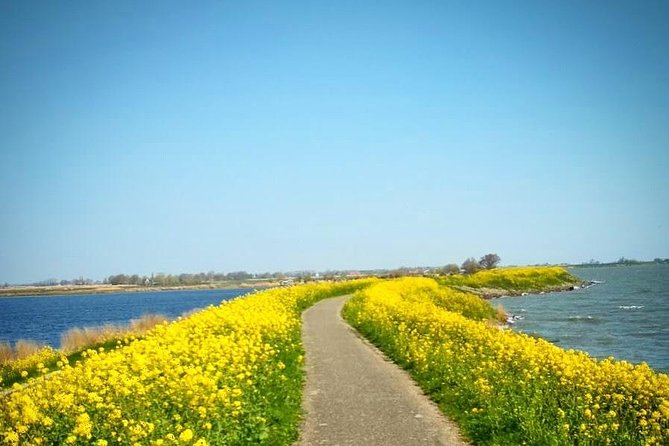 Amsterdam's Countryside Half-Day Bike Tour in Small Group - Meeting at Spuistraat 30, and How the Half-Day Ride Fits Your Day