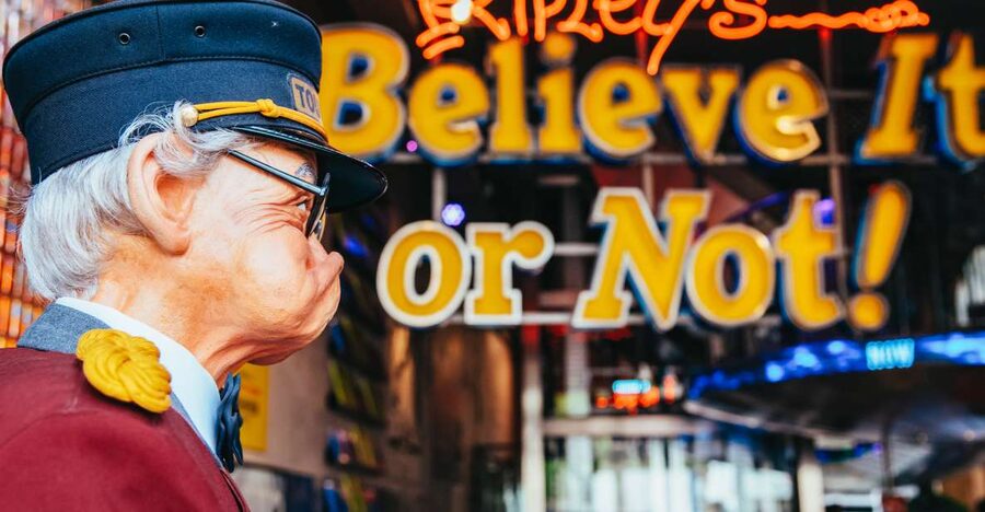 Amsterdam's Weirdest Museum: Ripley's Believe It or Not! - Key things that make this museum worth your time