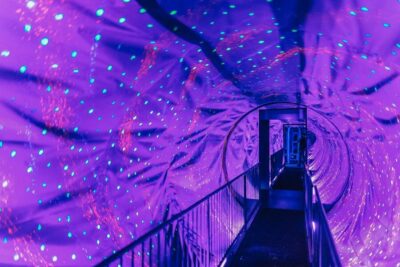 Amsterdam’s Weirdest Museum: Ripley’s Believe It or Not!