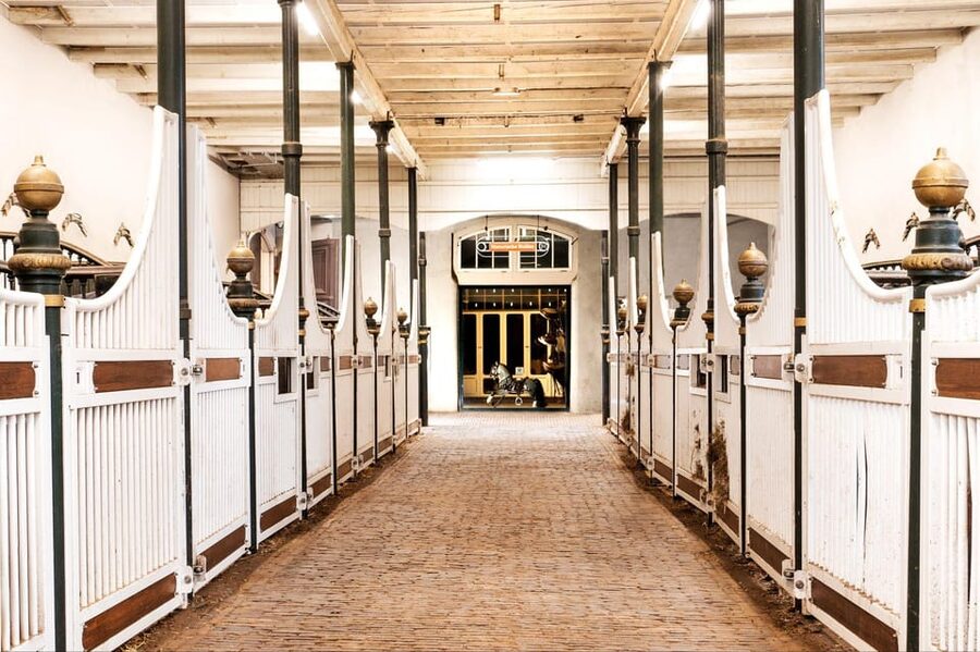 Amsterdam: The 'Hollandsche Manege' Stables Entry Ticket - Why Hollandsche Manege feels different in Amsterdam