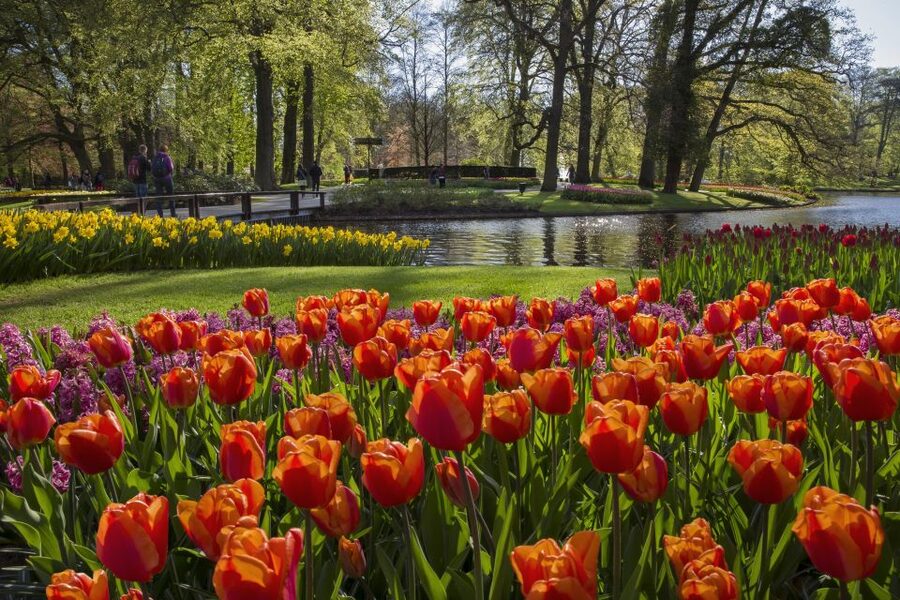 Amsterdam: Tour to Keukenhof Gardens with Windmill Cruise - How the return to Amsterdam works (and why it helps)