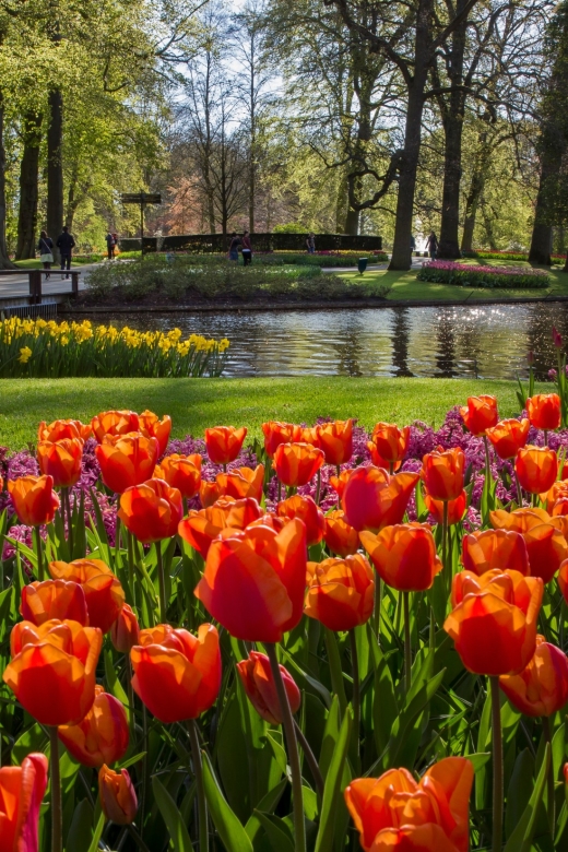Amsterdam: Tour to Keukenhof Gardens with Windmill Cruise - Getting to This is Holland, the easiest way to start
