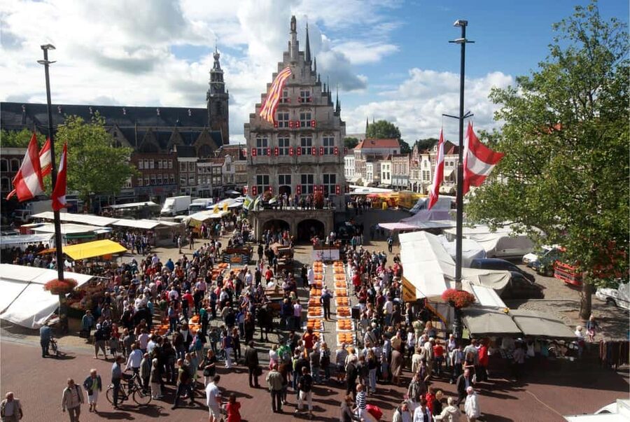 Amsterdam: Traditional Cheese Market Tour to Alkmaar - What the Day Includes, and What It Does Not