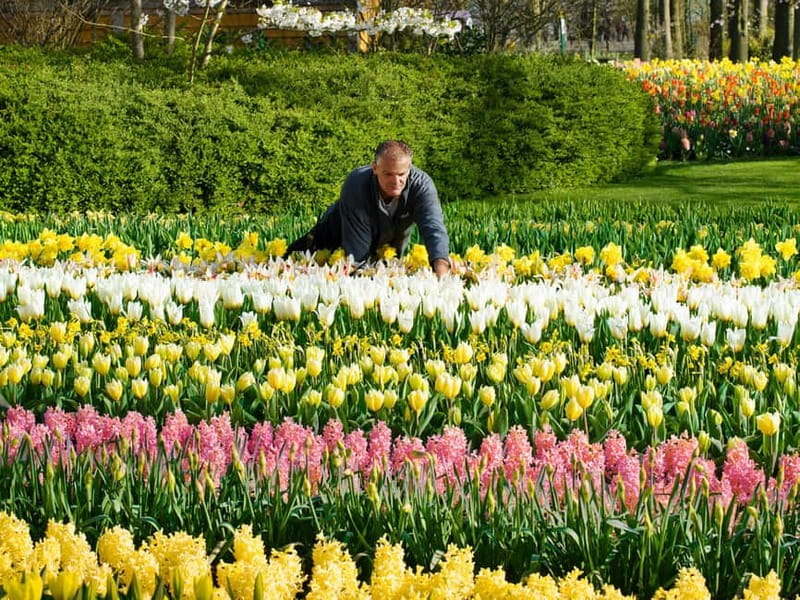 Amsterdam: Tulip Farm Visit, Keukenhof, and Windmill Cruise - FAQ