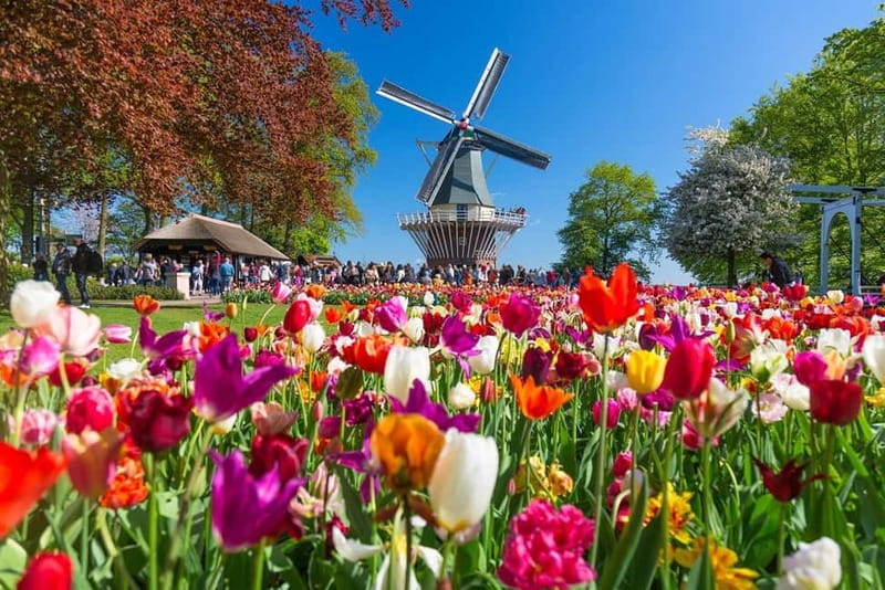 Amsterdam: Tulip Farm Visit, Keukenhof, and Windmill Cruise - Keukenhof Gardens: How to Use Your Time in 4 Hours (Crowd Smart)