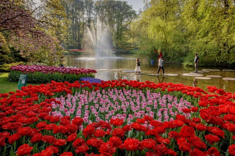 Amsterdam: Tulip Farm Visit, Keukenhof, and Windmill Cruise - Timing That Makes or Breaks Your Day