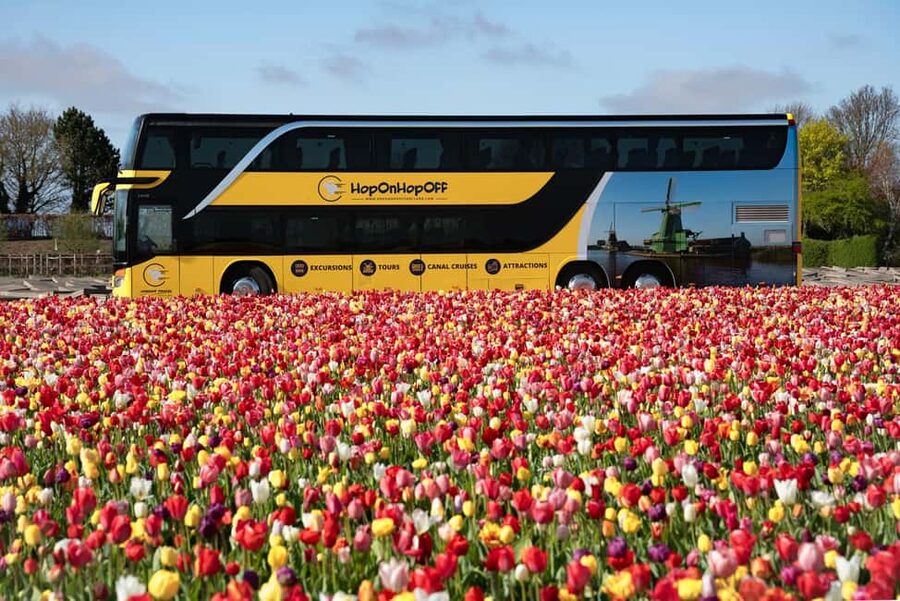 Amsterdam: Tulip Farm Visit, Keukenhof, and Windmill Cruise - Price and Value: What You Get for Around $99