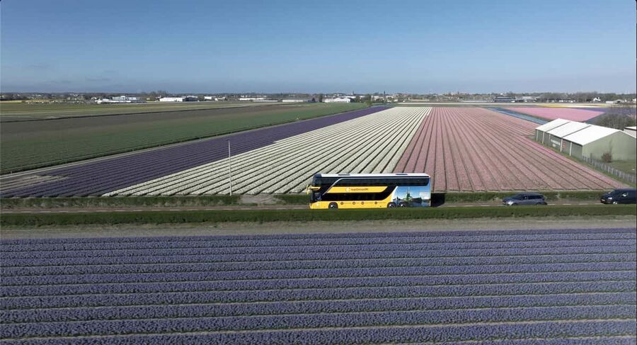 Amsterdam: Tulip Farm Visit, Keukenhof, and Windmill Cruise - Final Call: Should You Book This Amsterdam Tulip Farm and Keukenhof Tour?