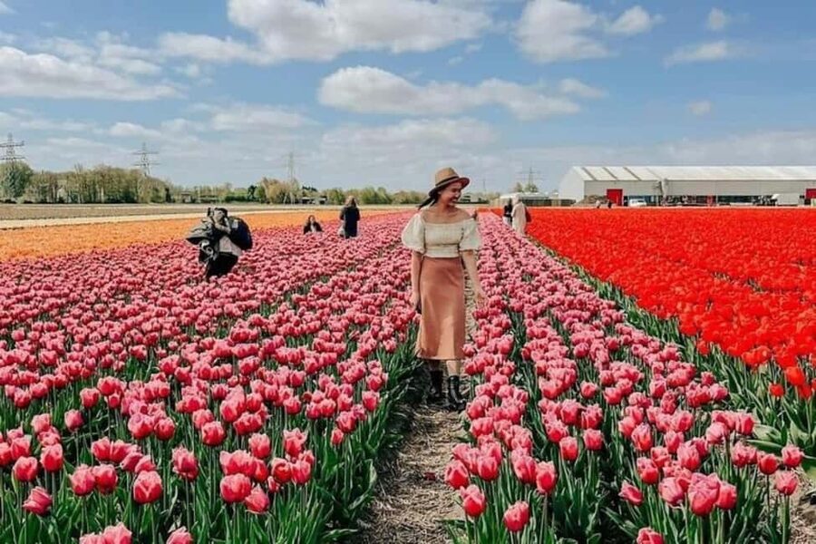 Amsterdam: Tulip Farm Visit, Keukenhof, and Windmill Cruise - De Tulperij Voorhout: Meeting Daan, Learning Bulbs, Getting Field Photos