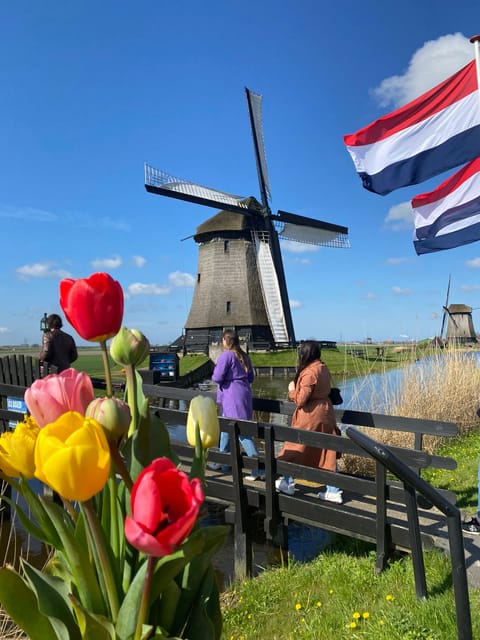 Amsterdam: Tulip Fields Day Tour with Lunch & Windmill - Key things you will notice on this tour