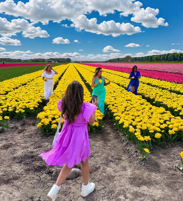 Amsterdam: Tulip Fields Day Tour with Lunch & Windmill - Why this Amsterdam tulip fields tour feels calmer than the big-name garden days