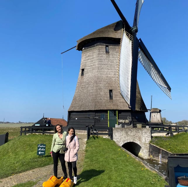 Amsterdam: Tulip Fields Day Tour with Lunch & Windmill - The coach, group size, and timing reality check