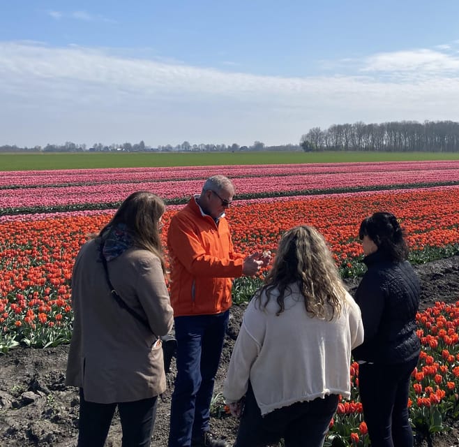 Amsterdam: Tulip Fields Day Tour with Lunch & Windmill - Price and value: what $143 gets you, and where it is worth it