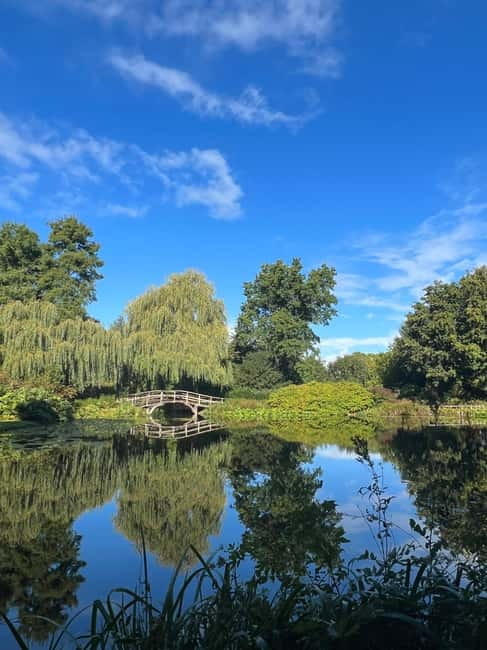 Amsterdam: Ultimate City Park Tour - Key Things You’ll Notice on This Tour
