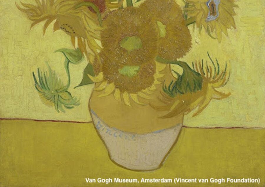 Amsterdam: Van Gogh Museum Guided Tour with Entry - Key points to know before you go