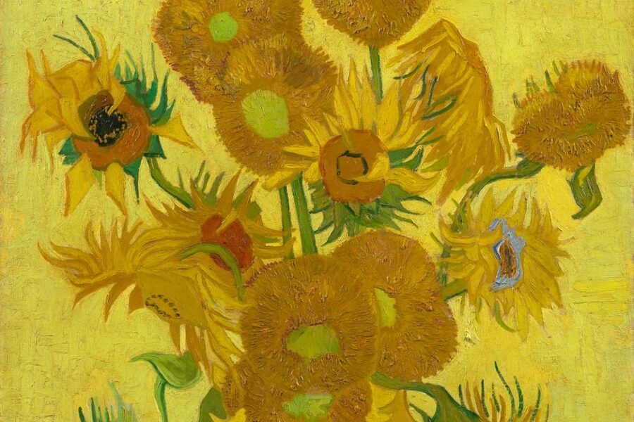 Amsterdam: Van Gogh Museum Ticket - Who This Museum Visit Fits Best