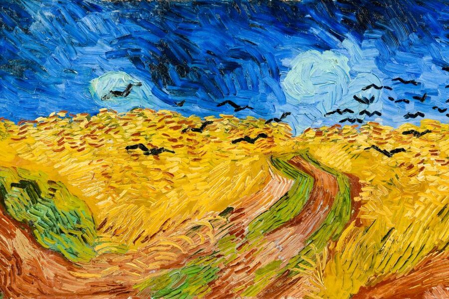 Amsterdam: Van Gogh Museum Ticket - Should You Book This Van Gogh Museum Ticket?