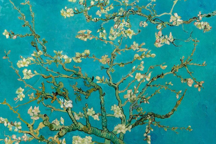 Amsterdam: Van Gogh Museum Ticket and City Canal Cruise - The canal cruise: UNESCO waterways with a clear ride plan