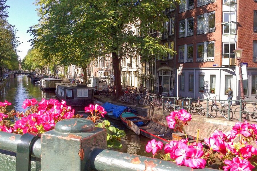 Amsterdam Walking Tour and Canal Cruise - Key highlights worth planning around