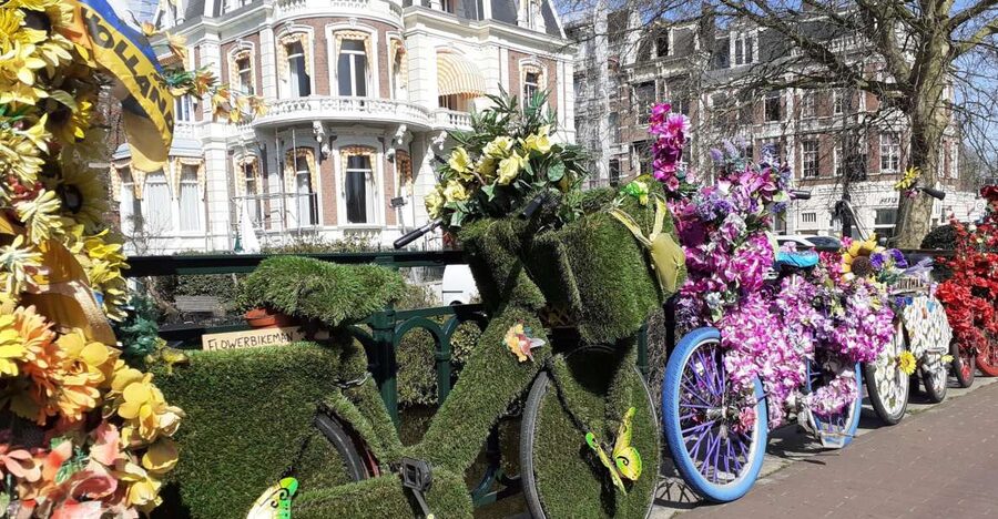 Amsterdam Walking Tour and Canal Cruise - The best payoff: a 60-minute glass-roof canal cruise