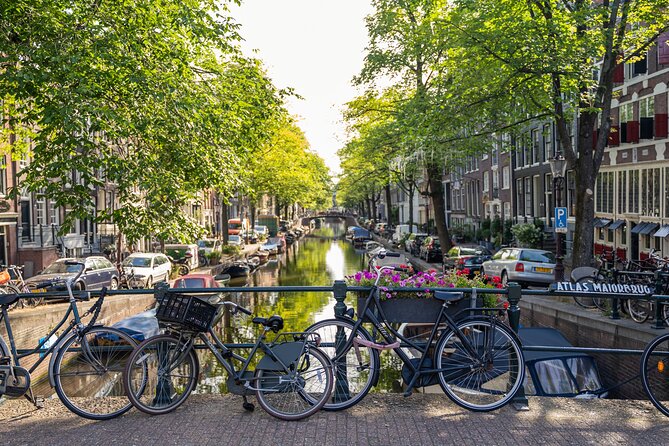 Amsterdam Walking Tour and Cruise with Drinks and Cheese Tasting - Should you book this Amsterdam walking tour and cruise?