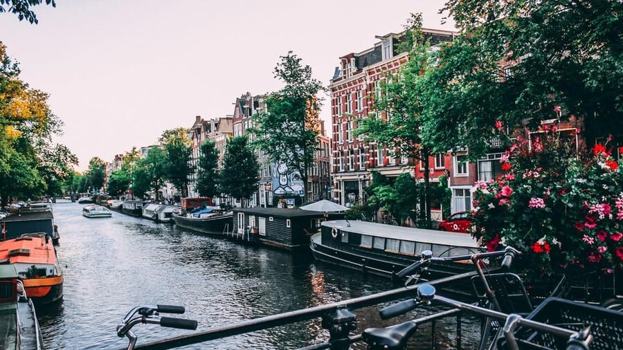 Amsterdam Walking Tour with a Local - Key things to look forward to