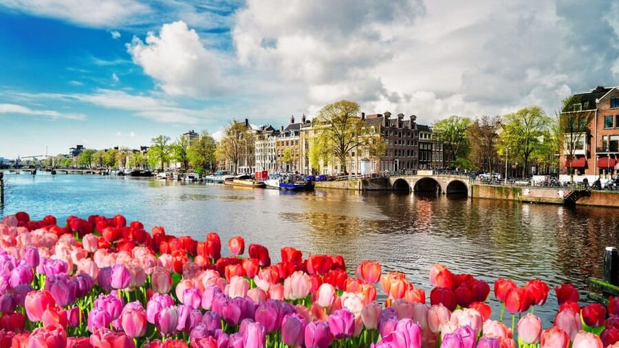 Amsterdam Walking Tour with a Local - Private group energy: why it changes the quality