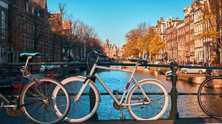 Amsterdam Walking Tour with a Local - Should you book this Amsterdam walking tour?