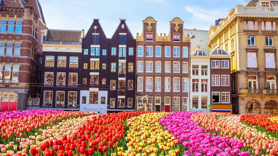 Amsterdam Walking Tour with a Local - The flow of the tour, from meet-up to your next day in the city
