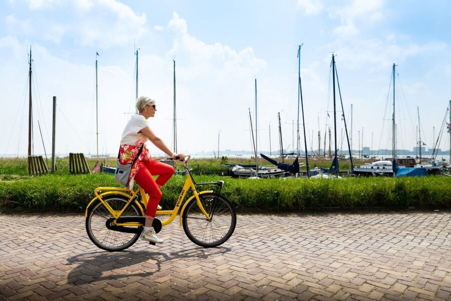 Amsterdam: Waterland District Countryside Villages Bike Tour - Key things that make this tour worth your time