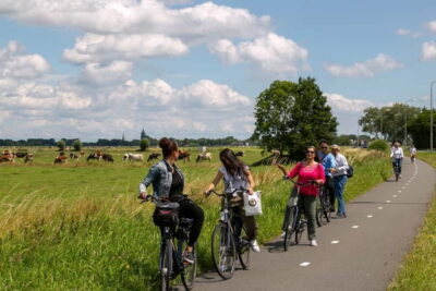 Windmill, Cheese, and Countryside E-Bike Tour