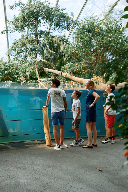 Arnhem: Burgers' Zoo Entry Ticket - Key highlights worth planning around