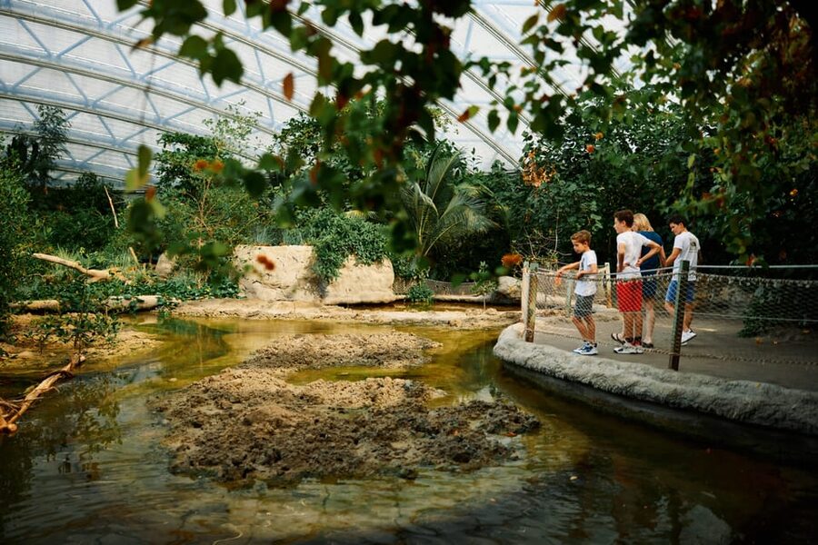 Arnhem: Burgers' Zoo Entry Ticket - Desert, Ocean, and “vultures in the desert” moments