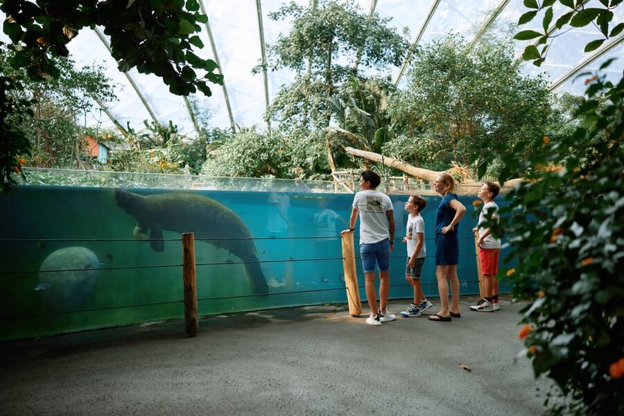 Arnhem: Burgers' Zoo Entry Ticket - Safari plains: where you’re close to giraffes and rhinos