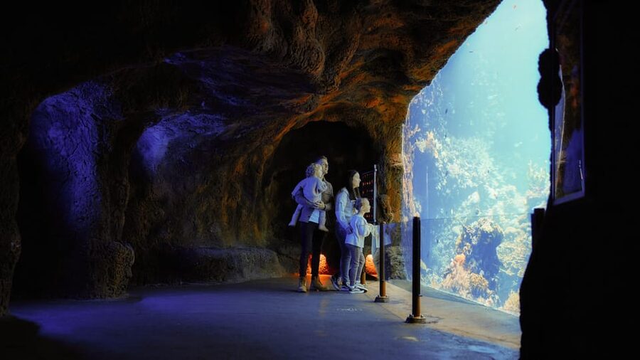 Arnhem: Burgers' Zoo Entry Ticket - Rimba and the indoor mangrove inspired by Belize