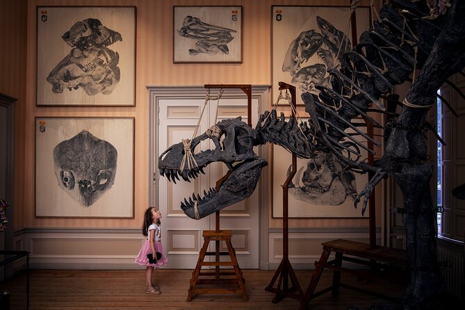 Art Zoo Museum Amsterdam Tickets - Key highlights at a glance