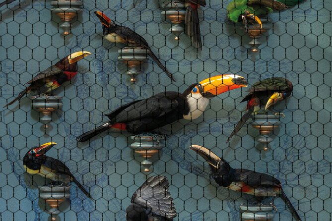 Art Zoo Museum Amsterdam Tickets - Stop 1: Art Zoo Museum, Where Taxidermy Becomes Theater