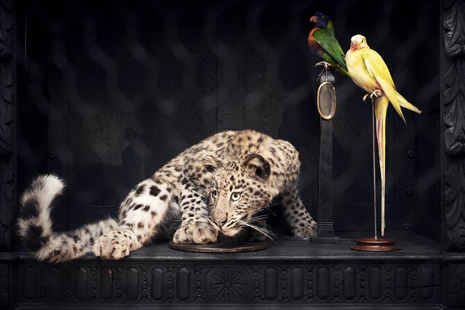 Art Zoo Museum Amsterdam Tickets - How the Free Self-Guided Audio Tour Improves Everything