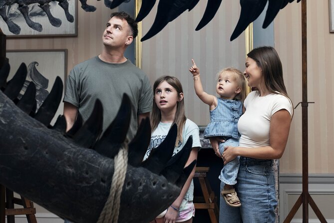 Art Zoo Museum Amsterdam Tickets - Family-Friendly for Young Kids, Not Just Art Crowd Adults