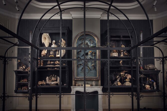 Art Zoo Museum Amsterdam Tickets - Getting There, Language, and Practical Details That Matter