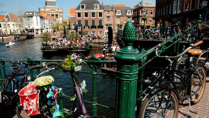 Best of Leiden: Private Walking Tour with a Local - Practical tips to get the most out of the walk