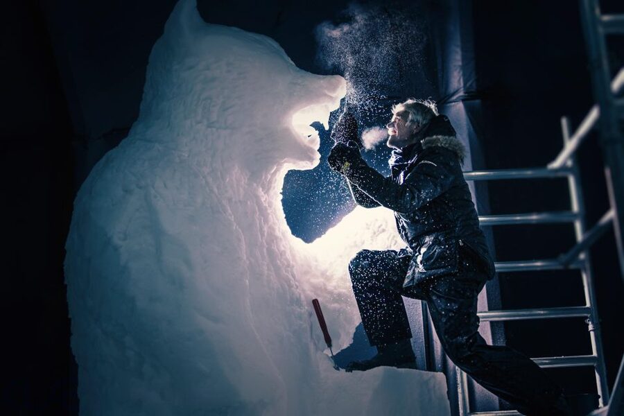 Biddinghuizen: Dutch Ice Sculpture Festival Entry Ticket - Where it is, and how to avoid the location confusion