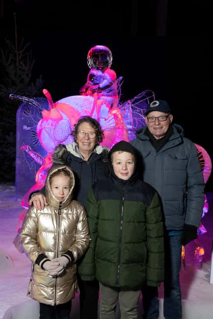 Biddinghuizen: Dutch Ice Sculpture Festival Entry Ticket - Ticket value around $26 for a full day of ice art