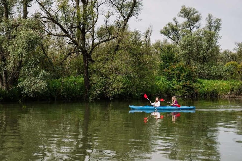 Biesbosch: Kayak Rental with Route Map and Life Jacket - Biesbosch Canoe Rental in South Holland: Why This 1.5 Hours Works