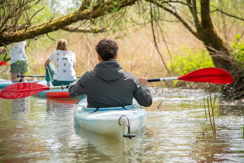 Biesbosch: Kayak Rental with Route Map and Life Jacket - Following the Route in the Biesbosch: How the Paddle Actually Feels