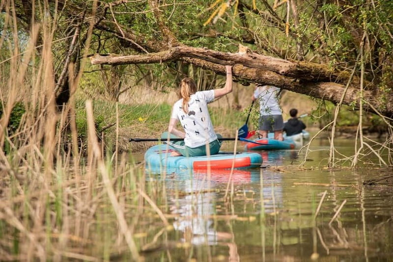 Biesbosch: Kayak Rental with Route Map and Life Jacket - Who This Biesbosch Paddle Is Best For