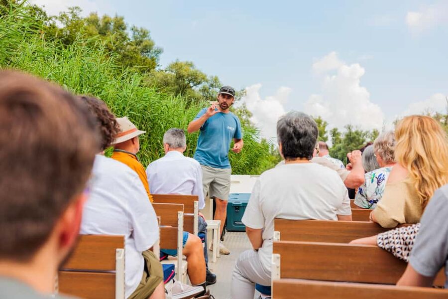 Biesbosch: National Park Cruise - Wildlife Chances: Beavers and Birds, and How to Watch Without Stress