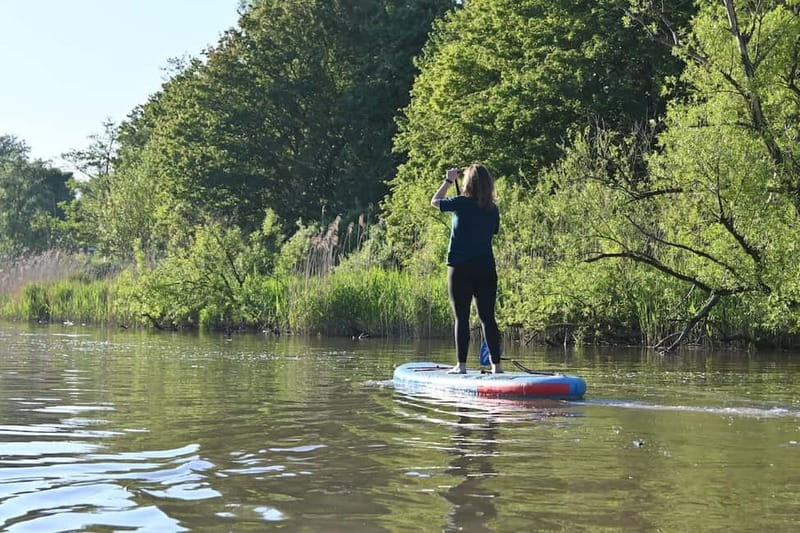 Biesbosch: SUP Board Rental - Why paddling the Biesbosch creeks feels more special than open water