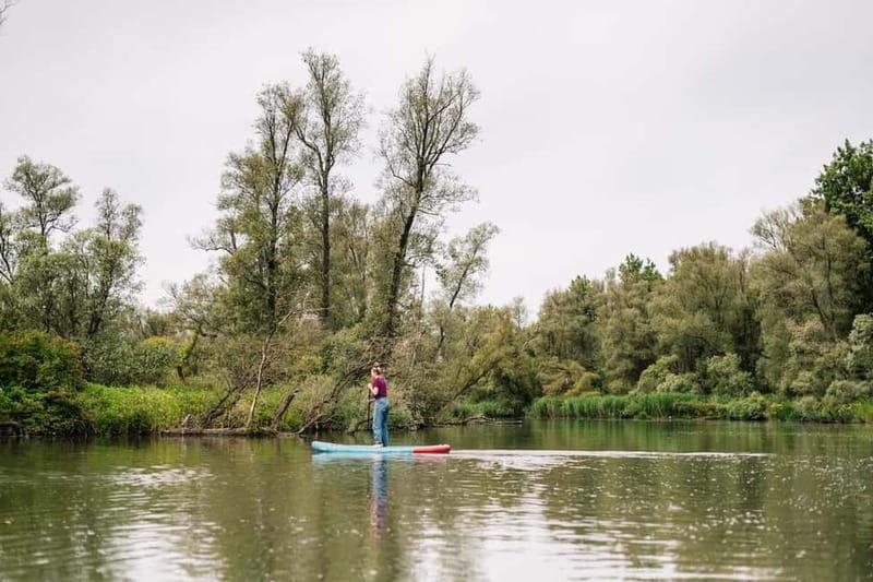Biesbosch: SUP Board Rental - Route maps and tidal timing: how to pick a plan that works